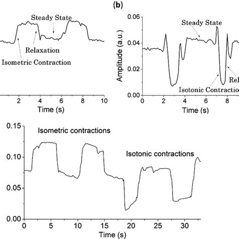 Graph showing the signal corresponding to isometric and b) isotonic... | Download Scientific Diagram