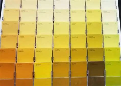 How to Make Mustard Yellow Paint In 8 Easy Steps