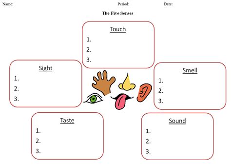 Five Senses Graphic Organizer Free - FerisGraphics