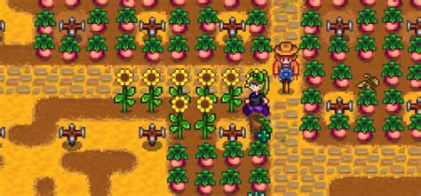 Top 5 Most Profitable Crops for the Greenhouse (Stardew Valley ...