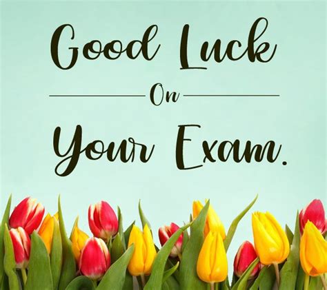 80+ Exams Best Wishes, Good Luck And Wishes