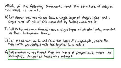 Question Video: Describing the Structure of Biological Membranes | Nagwa