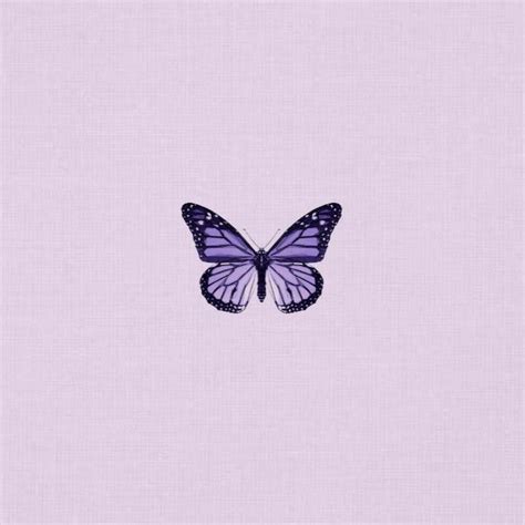 Butterfly aesthetic | Purple butterfly wallpaper, Hilight instagram purple, Butterfly