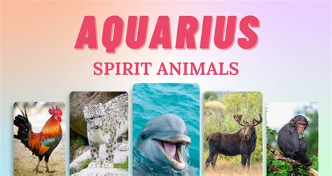 7 Aquarius Spirit Animals that Embody this Zodiac Sign | So Syncd