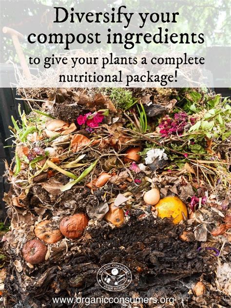 For a healthy, balanced compost pile, mix ingredients that are high in nitrogen (green and moist ...