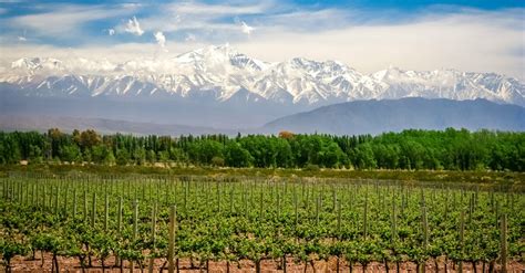 Your 2024 guide to Mendoza wine region | Winetourism.com