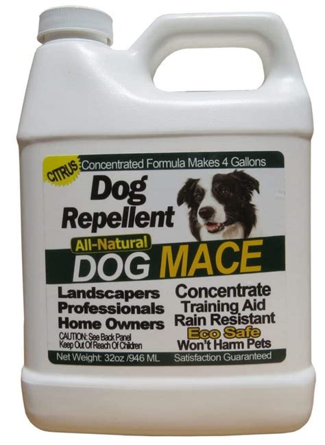 Keeping Fido at Bay: Top 10 Dog Repellents You Need to Know About! - Furry Folly