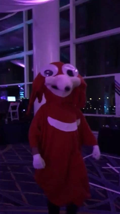 Ugandan Knuckles cosplay at magfest | MAGFest | Ugandan Knuckles ...