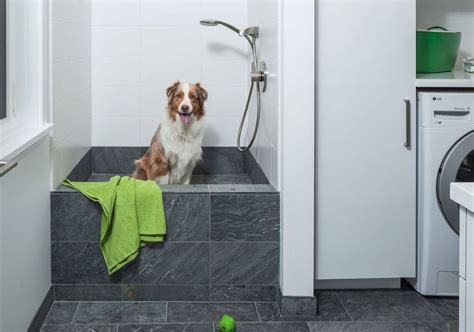 Inspirational Dog Bath Tub Diy Amazing Design | Dog washing station ...