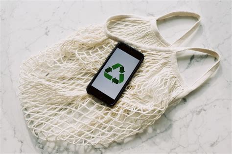 8 Eco-friendly Product Innovation Examples to Inspire You