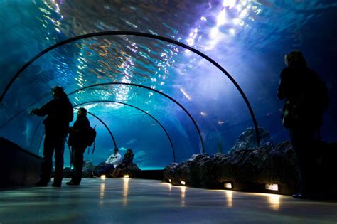 Underwater tunnel set to be new tourist attraction in Primošten ...