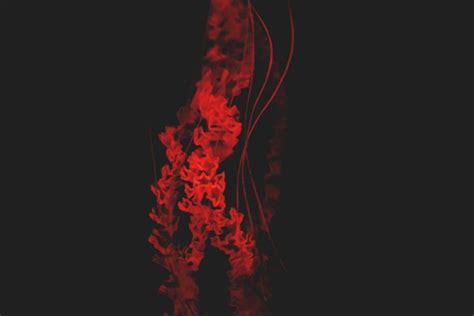 Blood Red Jellyfish | High-Quality Nature Stock Photos ~ Creative Market