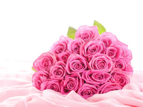 🔥 Download Pink Roses Desktop Background Wallpaper High Definition by ...