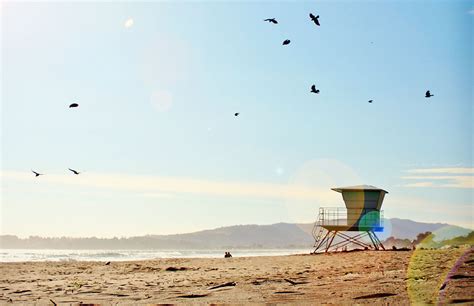 Where to Eat & Things to Do in the Stinson Beach area