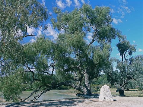 You won't know the joys of the Australian Bush until you go there