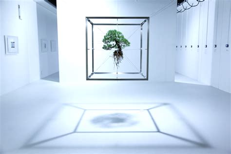 6 Impressive Projects That Turn Botany Into Art