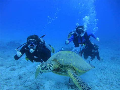 Hawaii Scuba Diving - Guide dive