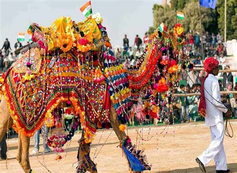 Essential details about the Pushkar Camel Fair 2018