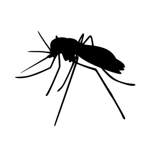 Mosquito , Insects, Silhouette Free Stock Photo - Public Domain Pictures