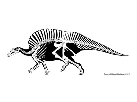 Ouranosaurus nigeriensis | Prehistoric animals, Dinosaur art, Ancient ...