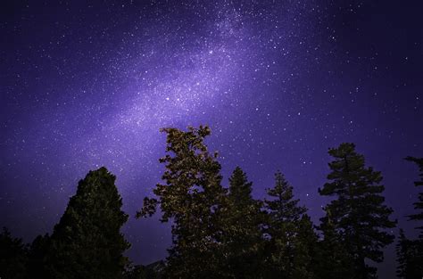 Milky way galaxy at night sky, trees HD wallpaper | Wallpaper Flare