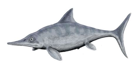 Opthalmosaurus | Types of Ichthyosaur | Ophthalmosaurus Sea Reptile