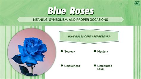 Blue Roses Images