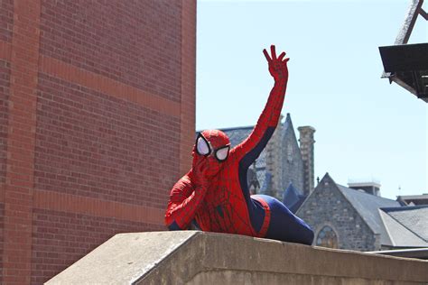 Free stock photo of funny, marvel, spider man