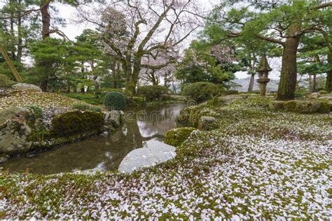 Kenrokuen Garden, Kanazawa, Japan Stock Photo - Image of bloom, tower: 138325878