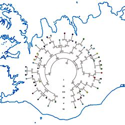 Icelandic genetics and genealogy