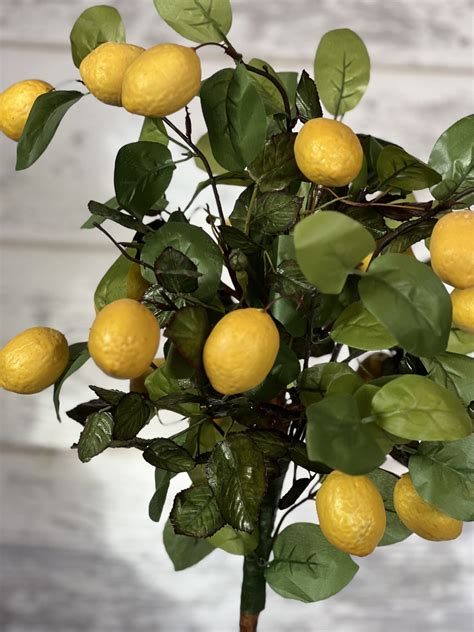 diy lemon tree - Re-Fabbed