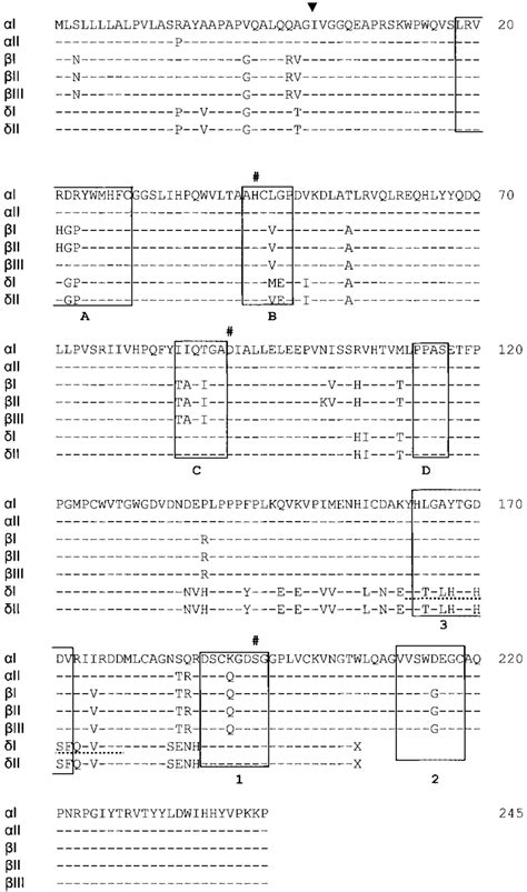 Amino acid sequences of I tryptase and II tryptase compared with that ...