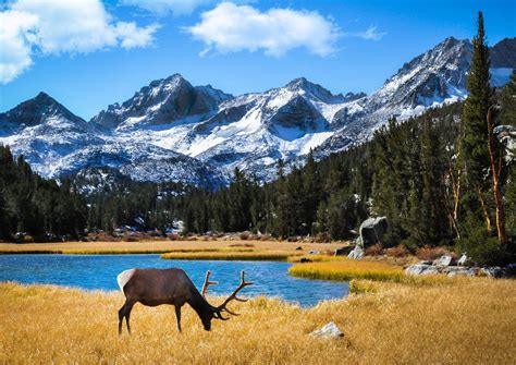 15 Animals In Crater Lake National Park We Saw While Hiking!