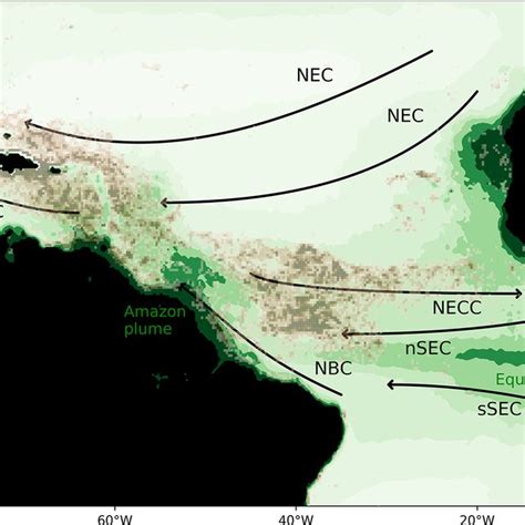 Seasonal distribution of Sargassum fractional coverage for the year ...