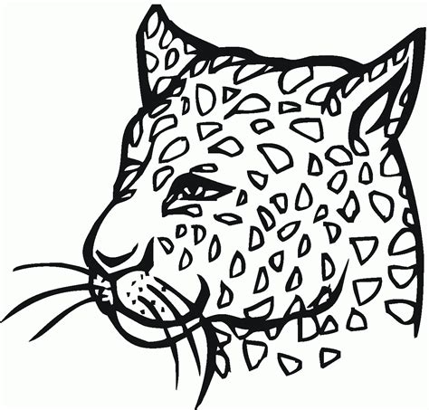 Leopard Coloring Pages - Coloring Home