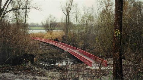 Brug Ruigeplaatbos Hoogvliet Rotterdam - Marja Haring architect | GEBOUWEN | BUITENRUIMTE ...