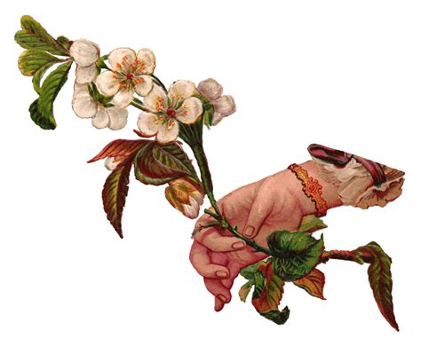 Hand Giving Flowers transparent PNG - StickPNG