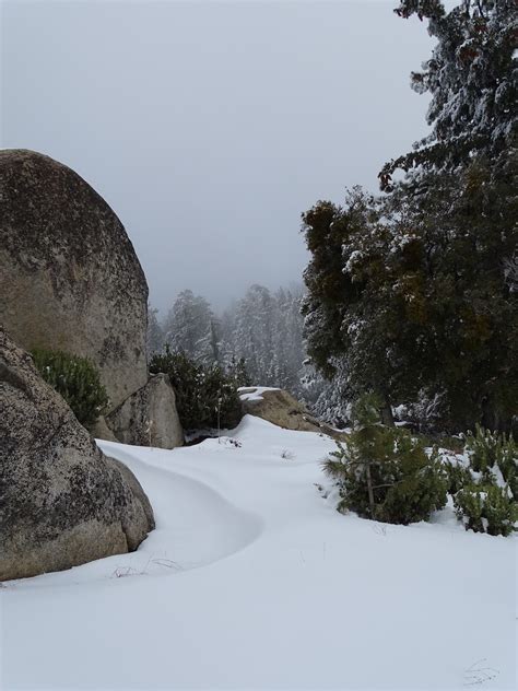 Postcards from Idyllwild: From Snow to Sand - Part 1