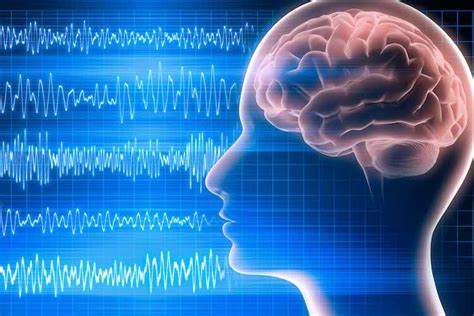 EEG Test Process: Pain, Procedure, Results - Deep Medical Centre