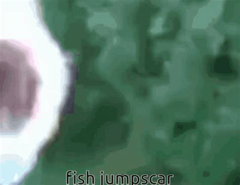 Fish Jumps Care GIF - Fish Jumps Care - Discover & Share GIFs