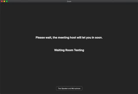 All About Zoom's Waiting Room and How to Disable It - TechWiser