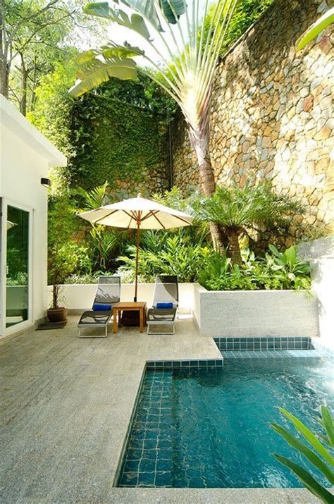 18 Gorgeous Plunge Pools For Tiny Backyard | HomeMydesign