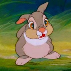 Thumper The Rabbit Quotes. QuotesGram