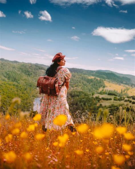 15 Magical California Poppy Fields + Best Month To View Them