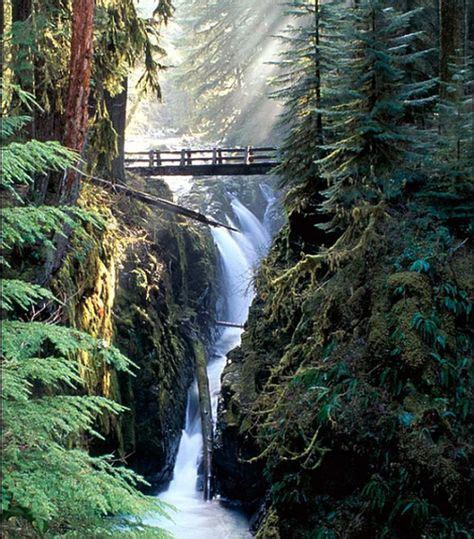 9 Forks Wa ideas in 2021 | forks washington twilight, forks twilight ...