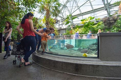 Chattanooga Aquarium: 45+ Essential Things to Know BEFORE Going