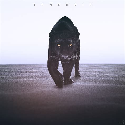 Tenebris on Behance