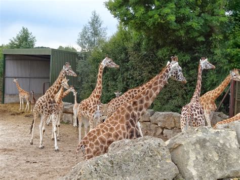 UK Travel: Longleat Safari Park, UK