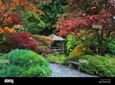 Japanese garden in autumn butchart hi-res stock photography and images - Alamy