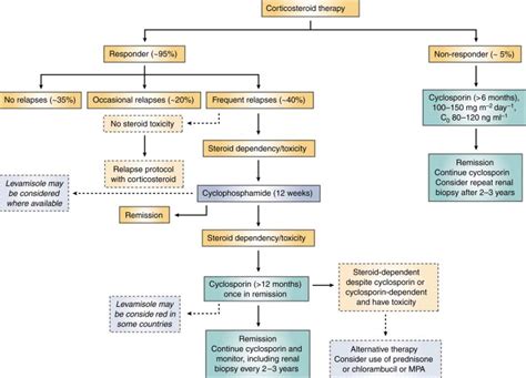 Cyclosporin in idiopathic glomerular disease associated with the nephrotic syndrome : Workshop ...